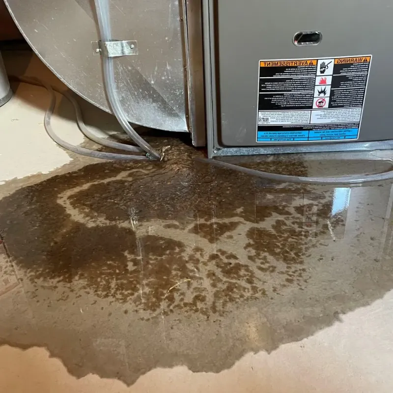 Pipe Burst and Leak Restoration in Navarre, OH