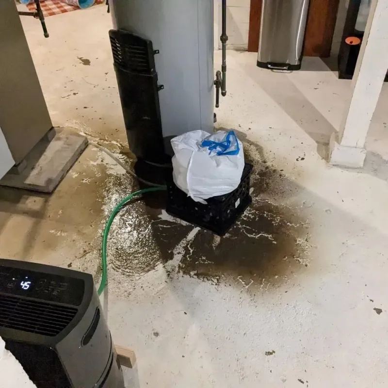 Sewage Backup Cleanup Service in Navarre, OH